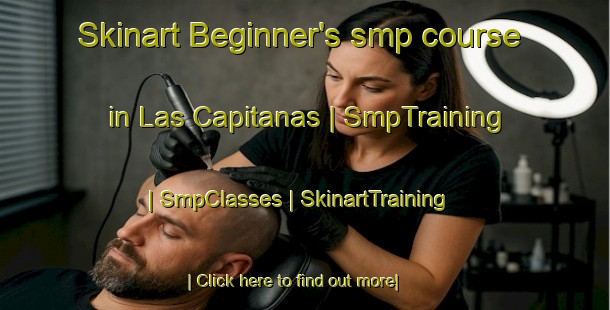 Skinart Beginner's smp course in Las Capitanas | SmpTraining | SmpClasses | SkinartTraining-Mexico